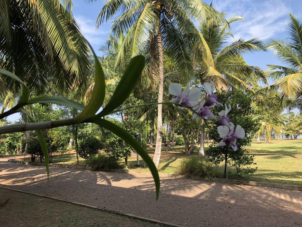 Hotel Lagoon Paradise Negombo Exteriör bild
