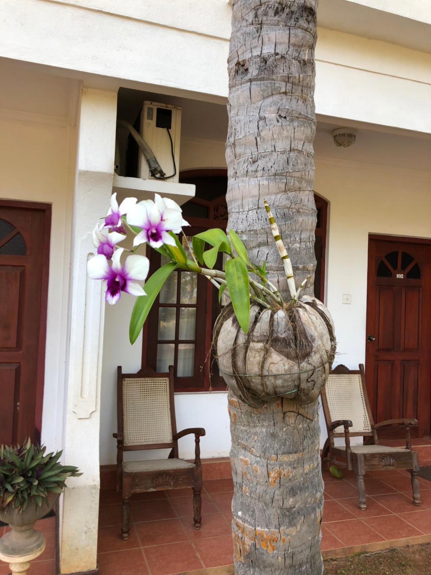 Hotel Lagoon Paradise Negombo Exteriör bild