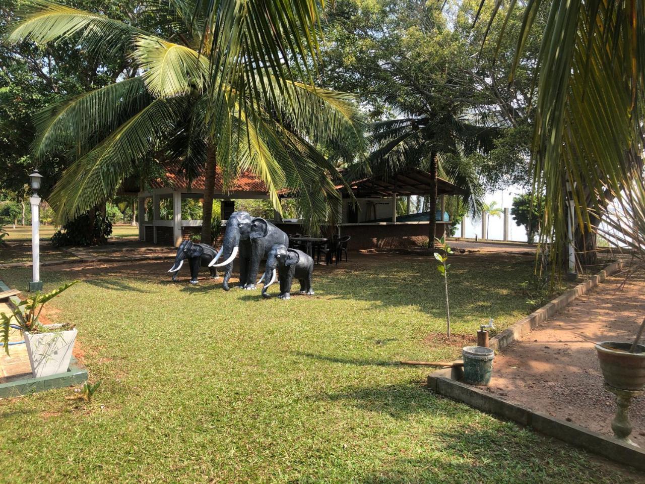 Hotel Lagoon Paradise Negombo Exteriör bild